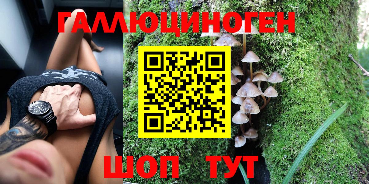 Галлюциногенные грибы Cubensis Котовск