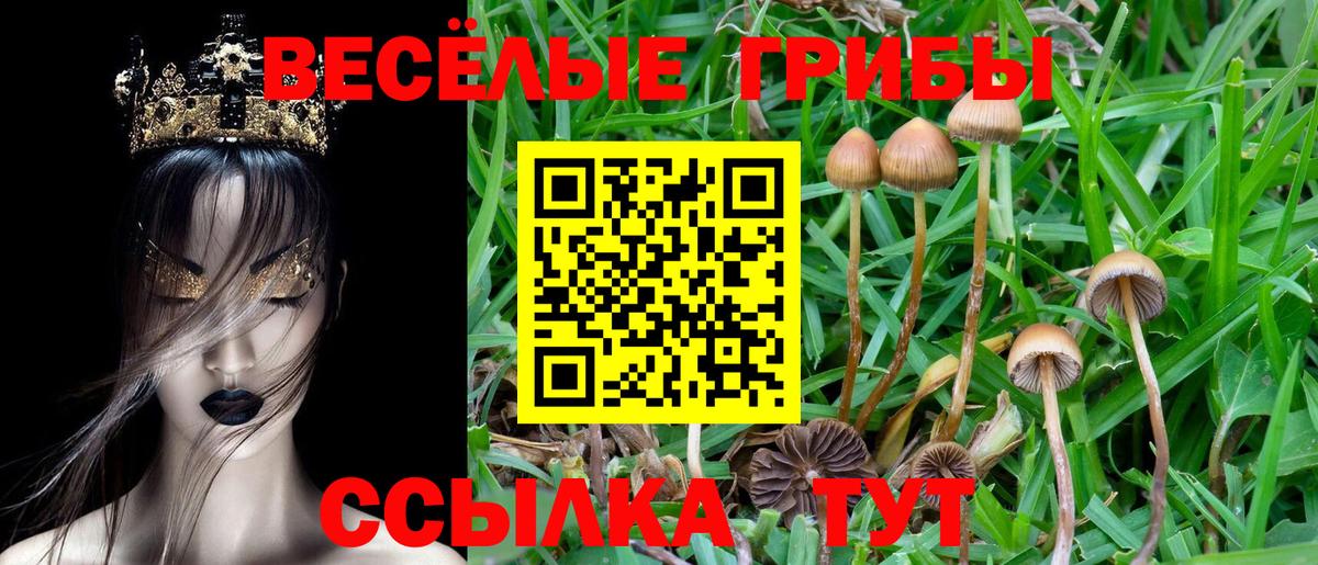 Конопля  Альфа ПВП СК   ГАШИШ  АМФЕТАМИН   Котовск  Вход с VPN  Где найти наркотики?  Меф  